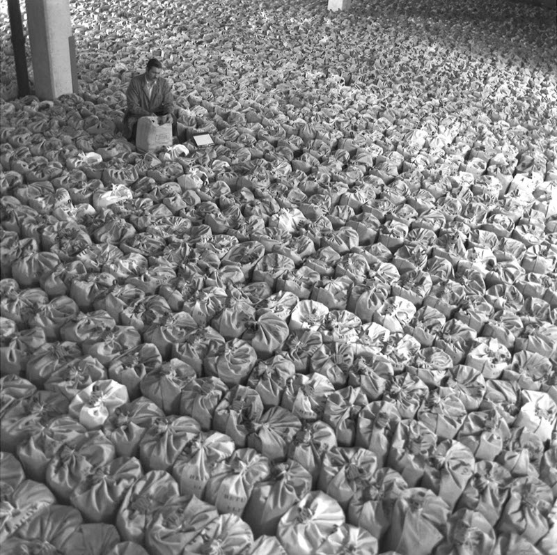 Black and white photo showing hundreds of canvas bags in rows and a man sitting in the middle of them