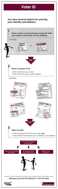 The Voter ID infographic