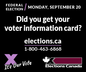 Voter Information Card - static