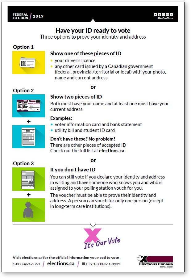 Voter identification infographic